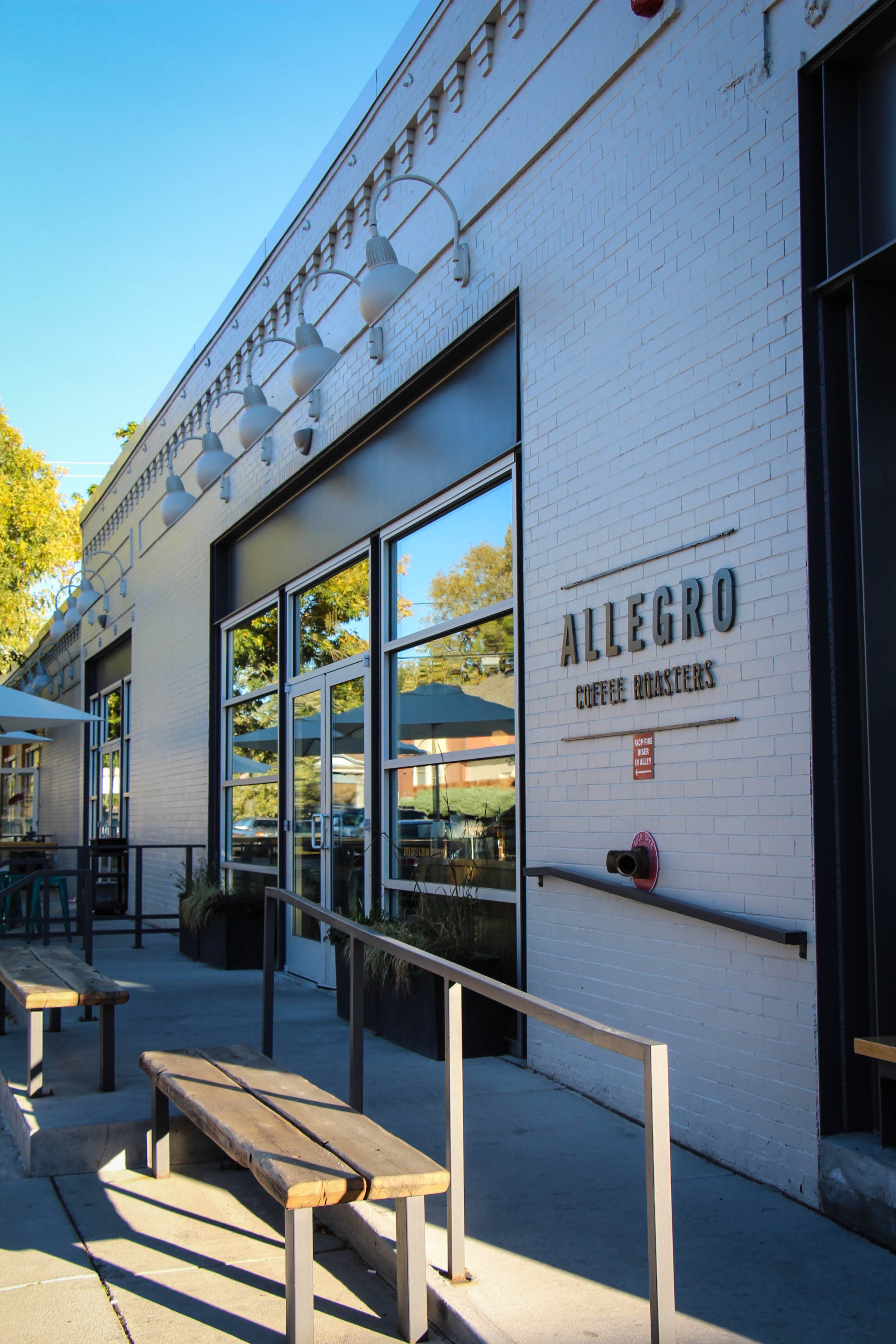 img_7848 Shop Tennyson